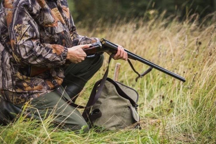 Увага! В Ізмаїльському районі розпочали відстріл диких хижих тварин